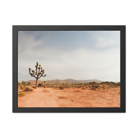 Coachella Valley - Desert Landscape Framed Poster - Serene Wall Art for Home & Office