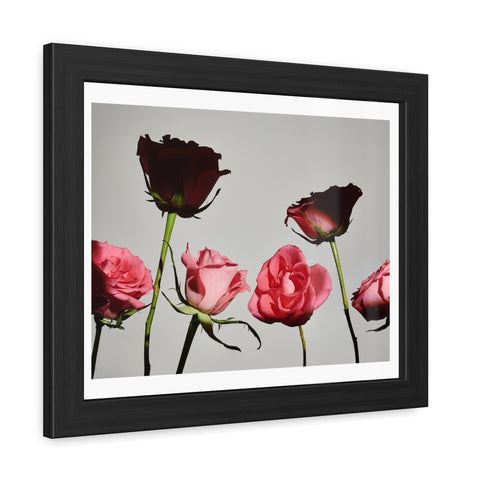 Roses - Elegant Floral Framed Poster | Romantic Home Decor