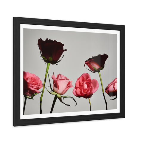 Roses - Elegant Floral Framed Poster | Romantic Home Decor