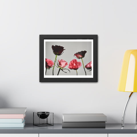 Roses - Elegant Floral Framed Poster | Romantic Home Decor