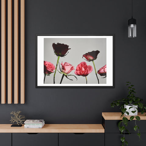 Roses - Elegant Floral Framed Poster | Romantic Home Decor