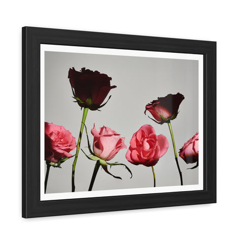 Roses - Elegant Floral Framed Poster | Romantic Home Decor