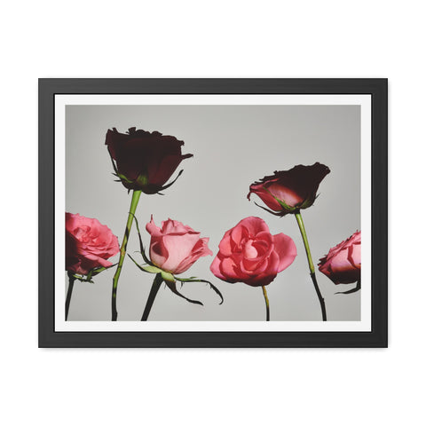 Roses - Elegant Floral Framed Poster | Romantic Home Decor