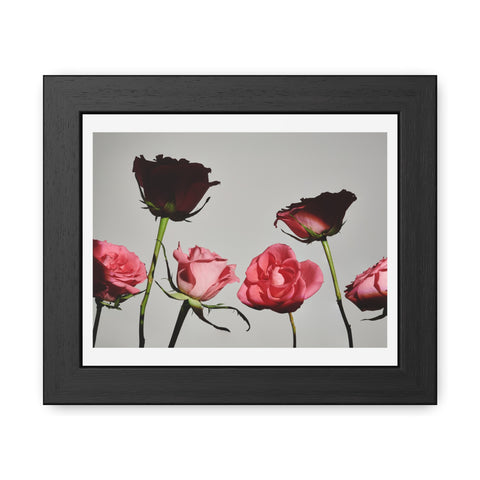 Roses - Elegant Floral Framed Poster | Romantic Home Decor