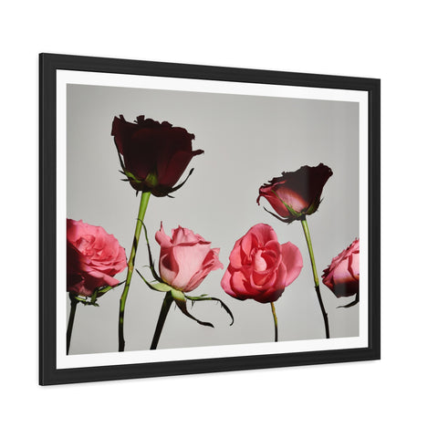 Roses - Elegant Floral Framed Poster | Romantic Home Decor