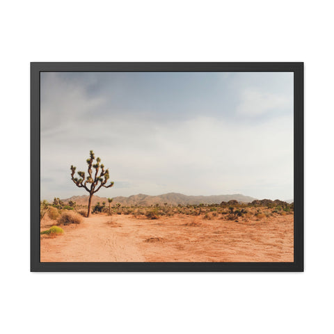 Coachella Valley - Desert Landscape Framed Poster - Serene Wall Art for Home & Office