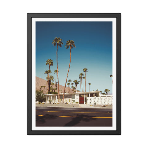 Palm Springs 2 - Vintage Palm Tree Framed Poster - Mid-Century Modern Wall Art