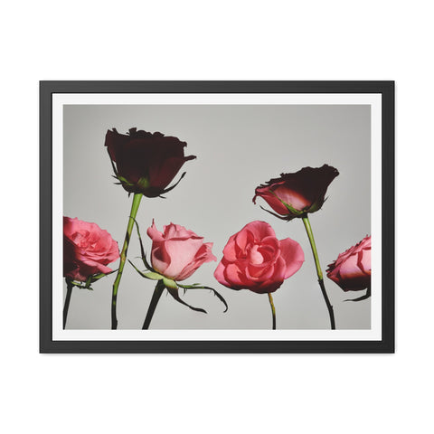 Roses - Elegant Floral Framed Poster | Romantic Home Decor