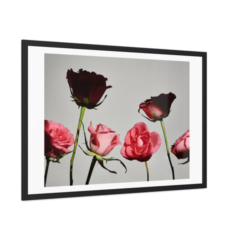 Roses - Elegant Floral Framed Poster | Romantic Home Decor