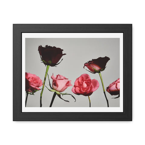 Roses - Elegant Floral Framed Poster | Romantic Home Decor
