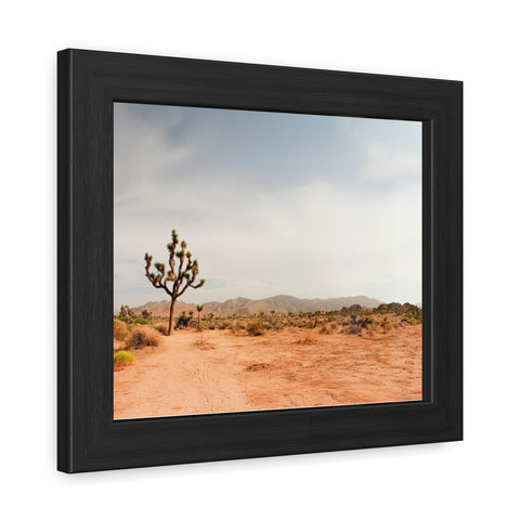 Coachella Valley - Desert Landscape Framed Poster - Serene Wall Art for Home & Office