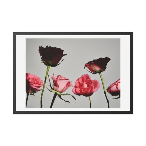 Roses - Elegant Floral Framed Poster | Romantic Home Decor
