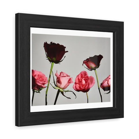 Roses - Elegant Floral Framed Poster | Romantic Home Decor