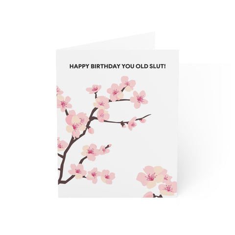 Happy Birthday you Old Slut - Floral Birthday Card — Birthday Greeting Card - Illustrated, Funny, Snarky, Modern