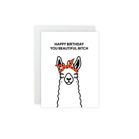 “Happy Birthday You Beautiful Bitch” Birthday Card – Birthday Greeting Card - Illustrated, Funny, Snarky, Modern