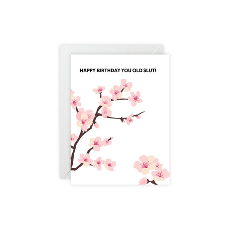Happy Birthday you Old Slut - Floral Birthday Card — Birthday Greeting Card - Illustrated, Funny, Snarky, Modern
