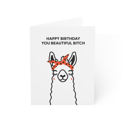 “Happy Birthday You Beautiful Bitch” Birthday Card – Birthday Greeting Card - Illustrated, Funny, Snarky, Modern
