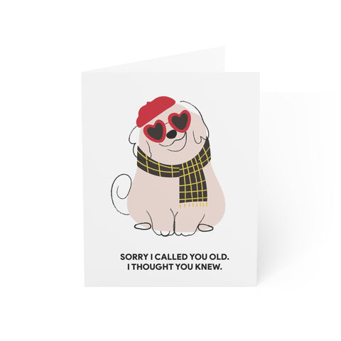 Funny Dog “Sorry I Called You Old, I Thought You Knew.” Birthday Card — Birthday Greeting Card - Illustrated, Funny, Snarky, Modern