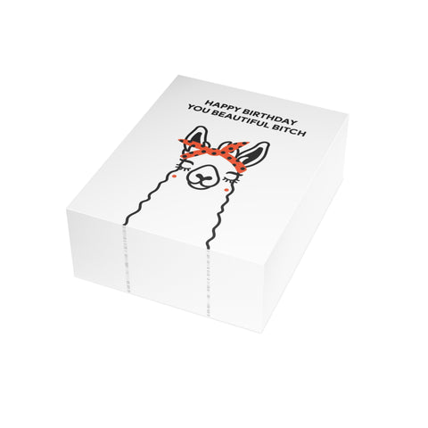 “Happy Birthday You Beautiful Bitch” Birthday Card – Birthday Greeting Card - Illustrated, Funny, Snarky, Modern