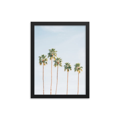 Palms - Framed Print