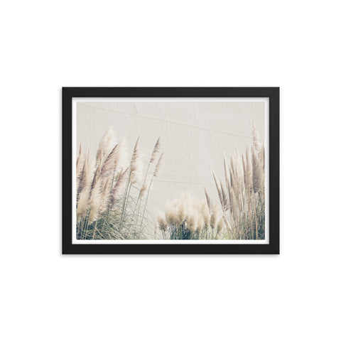 In the Wind - Framed Print