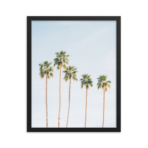 Palms - Framed Print