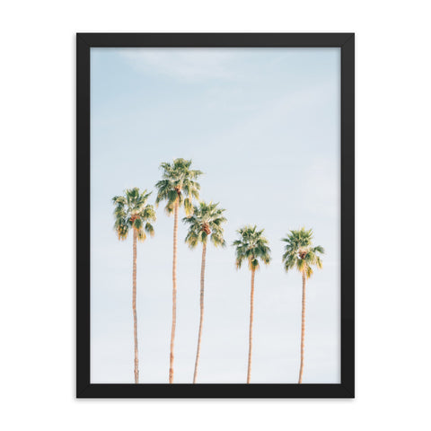 Palms - Framed Print