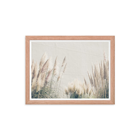 In the Wind - Framed Print