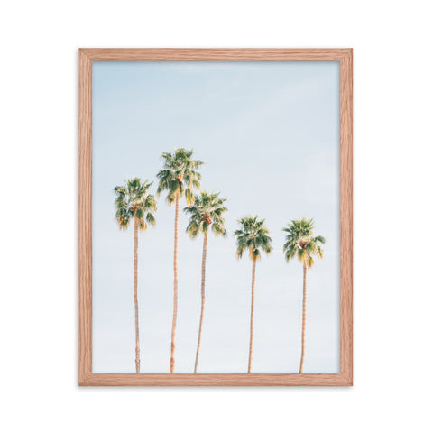 Palms - Framed Print