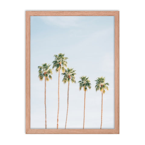 Palms - Framed Print