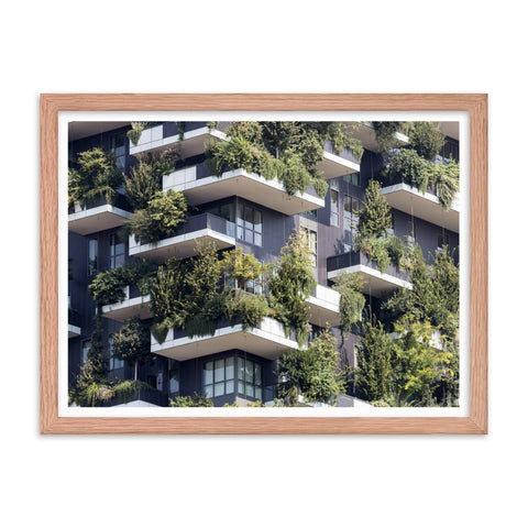 Green Balconies - Framed Print