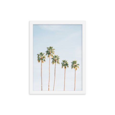 Palms - Framed Print