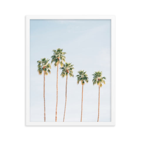 Palms - Framed Print