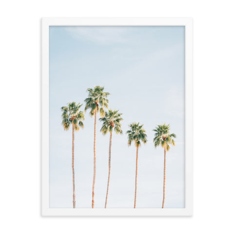 Palms - Framed Print